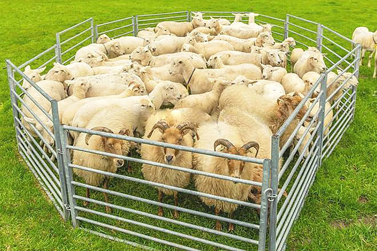 Sheep Fence Panels suppliers Sheep Fence Panels suppliers